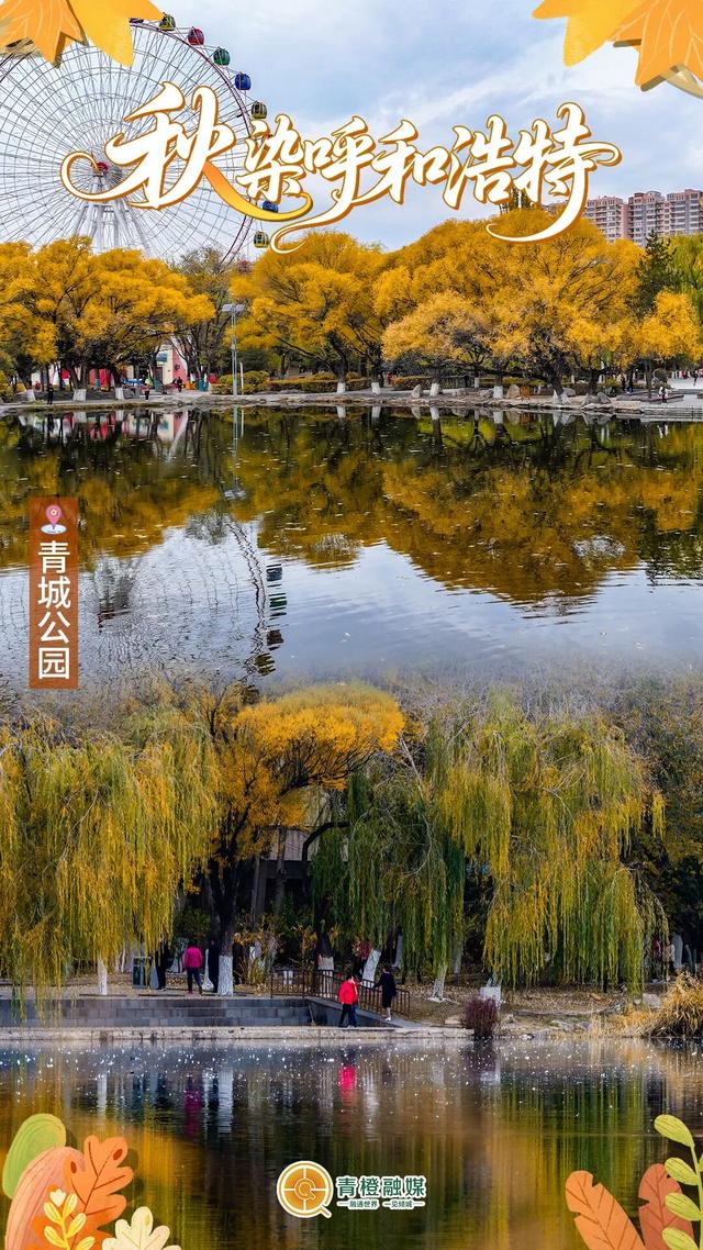 再过几天，呼和浩特就要变成这样了→