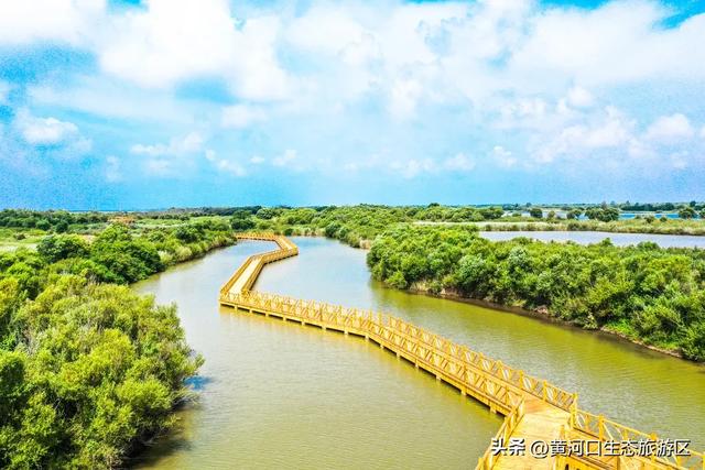【情满双节游东营】黄河口生态旅游区2025国庆假期活动 大揭秘！速来围观！