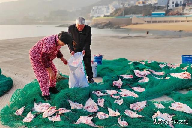 等一个晴天！枸杞岛温暖冬日的惊喜太多啦！