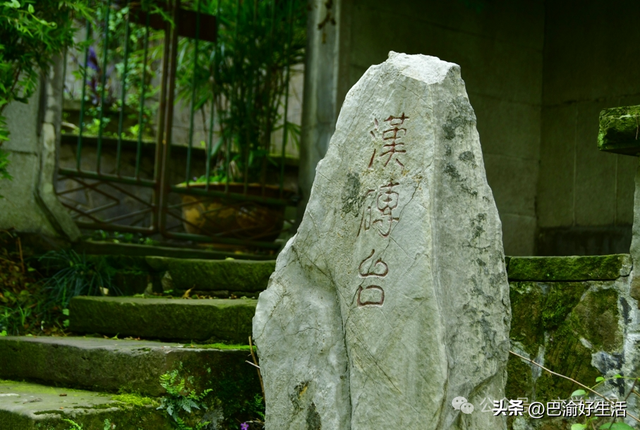 北碚公园竟是"大熊猫"命名地，原来藏着这么多秘密