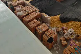 柠檬暴涨，产地遭疯抢，“谁手上有黄柠檬，谁就拥有巨额资产”图片