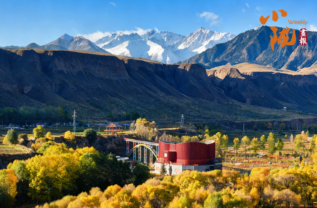 【小陇画报·426期】肃南：多彩秋日 满目金黄