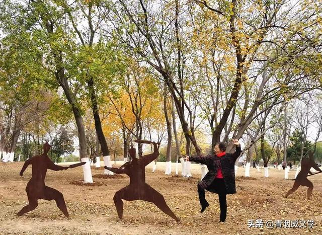 盘龙悠远银杏黄 水中学友情谊长