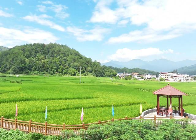 福建永定：红色美丽村庄“养成记”
