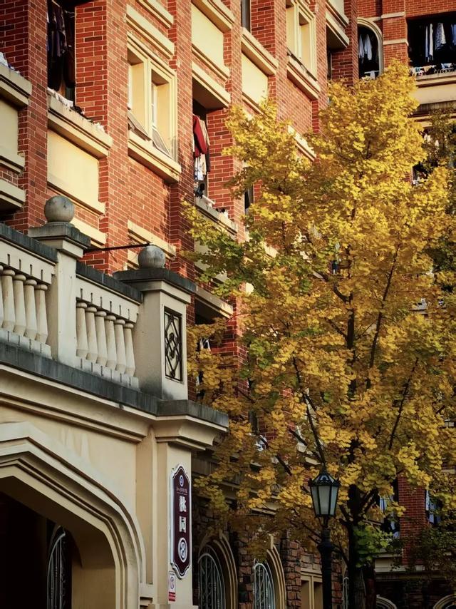 抬头！在寒冷的冬天再欣赏欣赏科院的秋吧