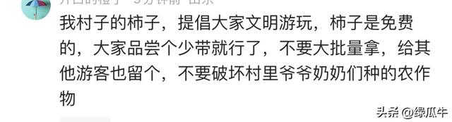 陕西彬州柿子火出圈，啥啥都免费，结果网友们不乐意了