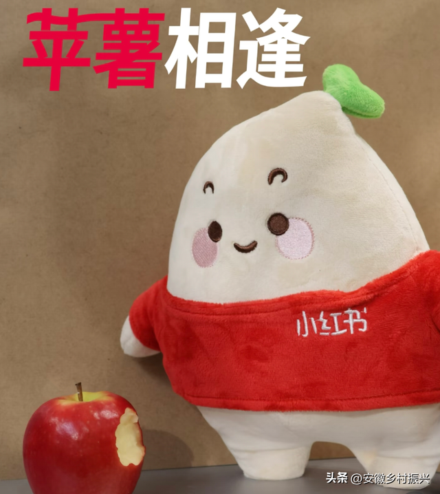 入驻小红书，苹果这次赌对了