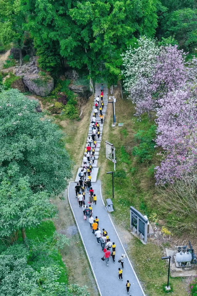 48小时沉浸式过年：在佛山，我找到了最地道的岭南年味！