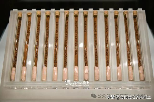 武威市博物馆:丝绸之路“天马故乡”,汉唐高价值文物真多