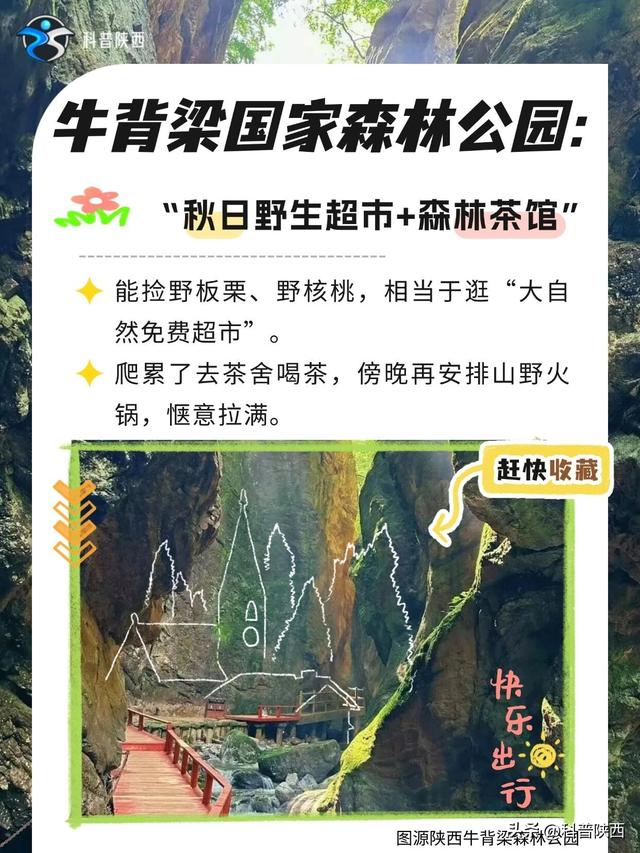 @所有人，陕西人私藏的国庆玩法曝光啦！