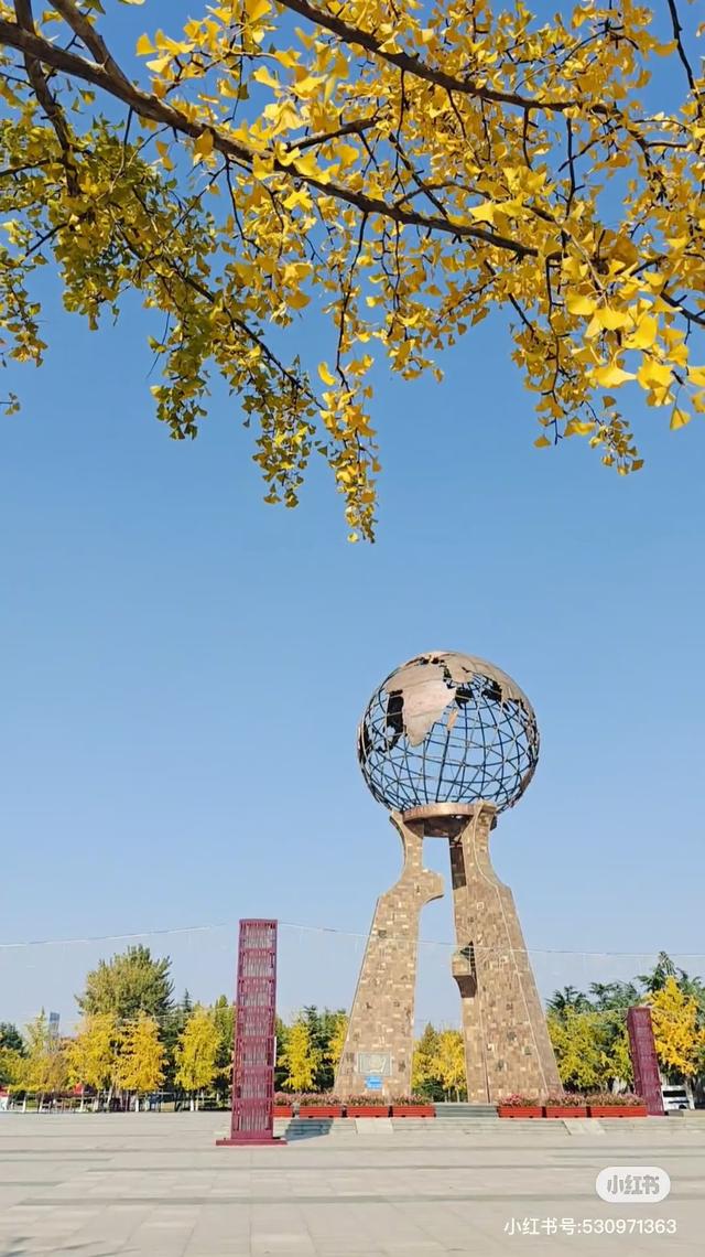 最适合拍银杏的地方！ 临沂十个0元打卡点，抓住今年最后的金色风暴！