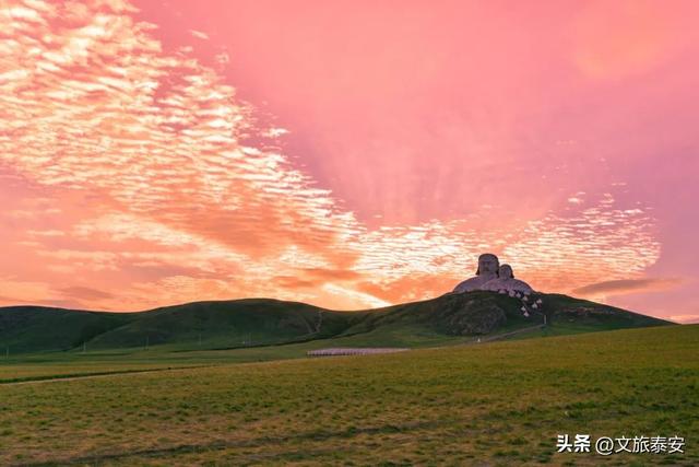 泰山站首发！暑假省内唯一专列带您畅游蒙东，价格行程看这里→