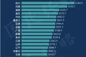 10万亿转移支付背后的细节：5省3市养着全国，四川、河南分最多！图片