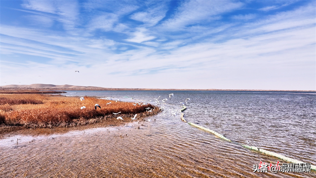被甘肃“暖”到了！