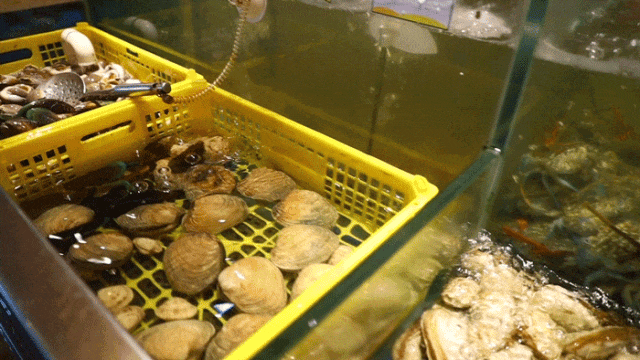 被朋友问了800遍的长沙国庆攻略，今天就毫无保留地公开了！