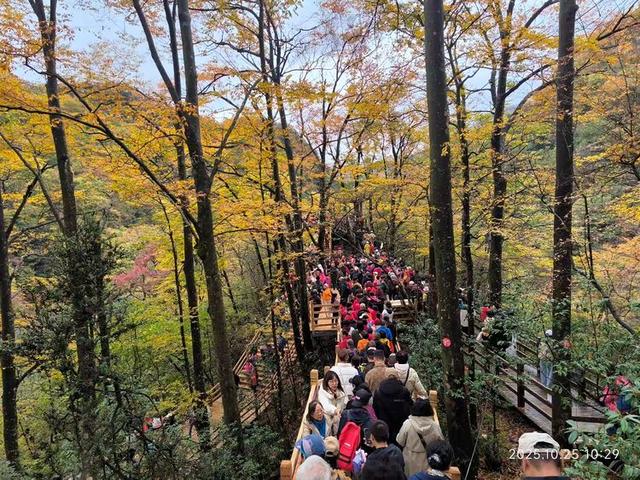 排队游览光雾山