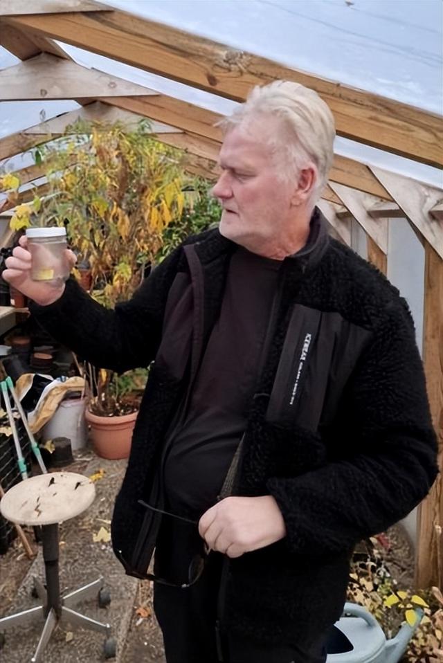 蚊子首次入侵冰岛！最后的堡垒已经陷落？究竟是什么品种？