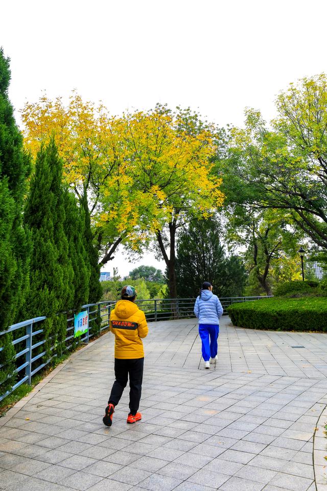 浞景无边，快乐亦无边~