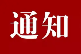 这类车报废更新有补贴！河北发布实施方案图片