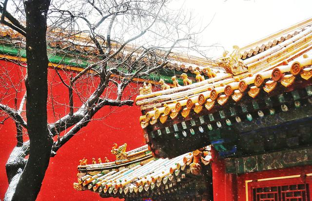 京城初雪拂过紫禁城的每一个角落 故宫红墙金瓦变身童话仙境