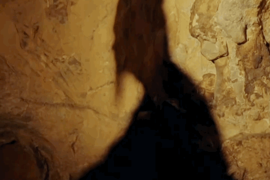 洞洞洞！如何在42800座贵州溶洞中发现跨越30万年的人类进击史？