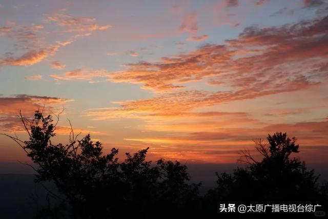 山西的秋是立秋以后的秋