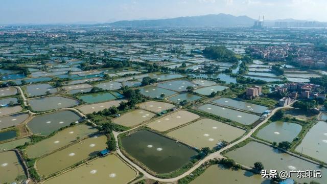 珠江三角洲水系：聚三江之水，经八门入海