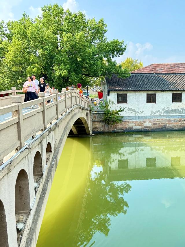 沈荡故事(嘉兴海盐县沈荡镇)