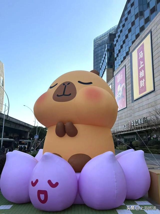 乐园+1！“顶流萌宠”在五角场聚集