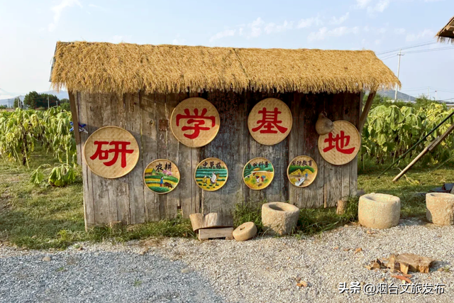 【乐游烟台】周末好去处丨“浪浪山”外，烟台新开儿童乐园免费玩