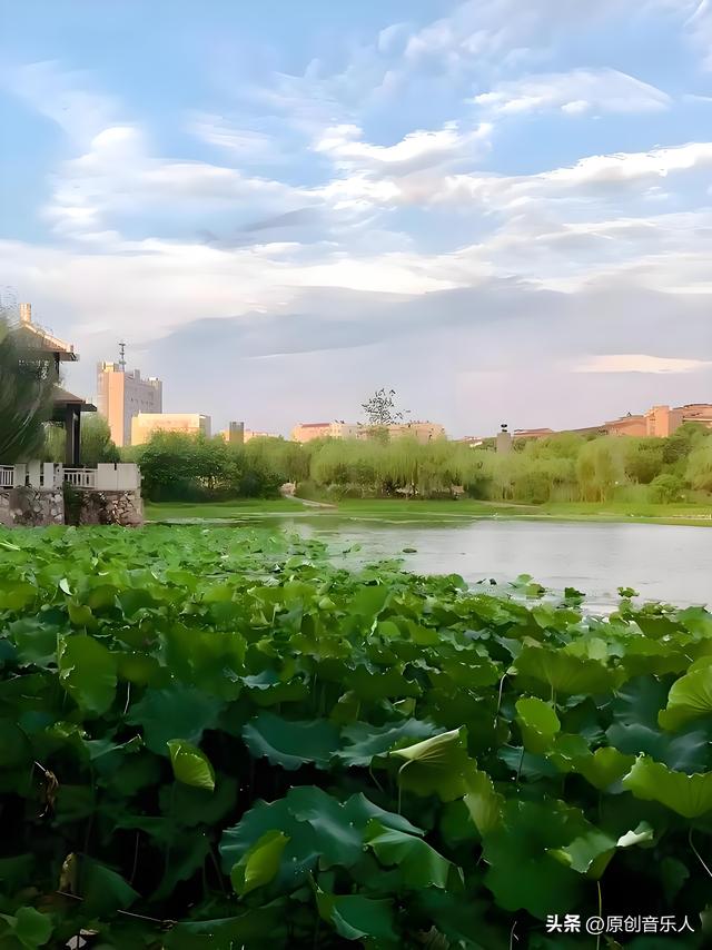 我在移动心受了伤，你有被伤过吗？