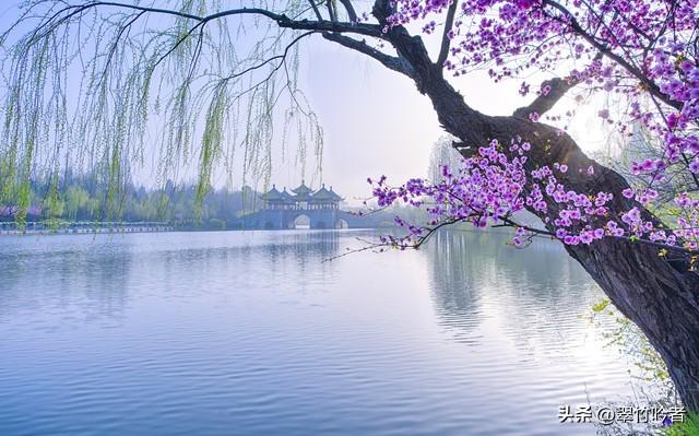 江苏12大5A景区终极考验！去过3个算入门，全去过的是真“大神”