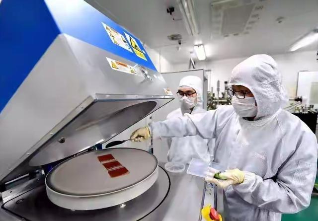 荷兰太无敌了，先断臂再自宫，真看不懂了