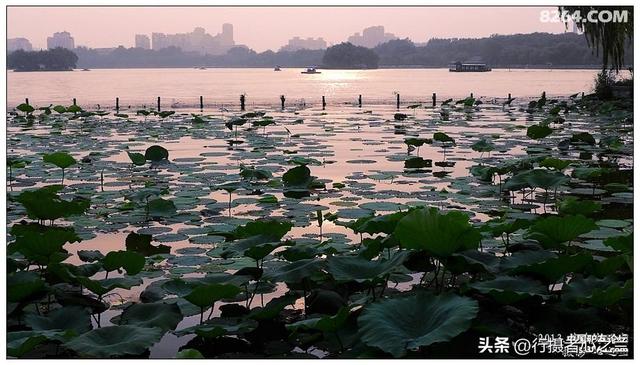 山东行游影记（13）—济南大明湖（二）