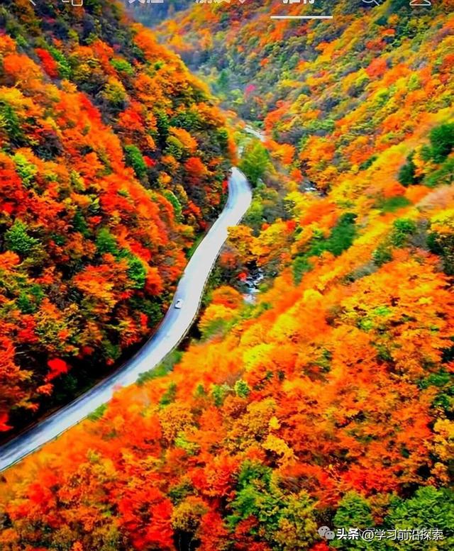 郧阳秋深：山河燃情，文明铸魂