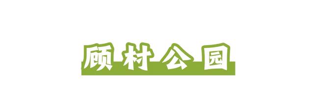 周五宠粉日|运动赏景两不误!这份公园运动指南请查收,更有辰山植物园门票等你免费领