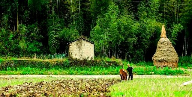 老泄残精人穷寿尽到了，到了50岁以后，要牢记这5不要