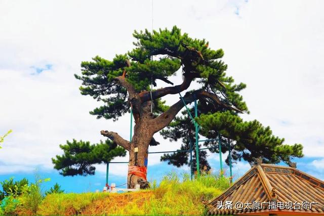 寻迹尖草坪丨初冬限定！这6处绝美风景，再不去真的要等一年！