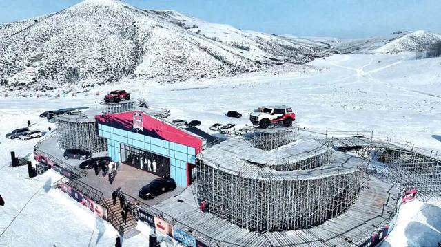 11米高“糖葫芦树”现身呼伦贝尔啦！