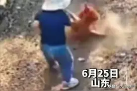活腻了！公鸡当姥爷面啄孩子被打死摆上桌，网友：养不熟总能炖熟图片