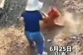 活腻了！公鸡当姥爷面啄孩子被打死摆上桌，网友：养不熟总能炖熟图片