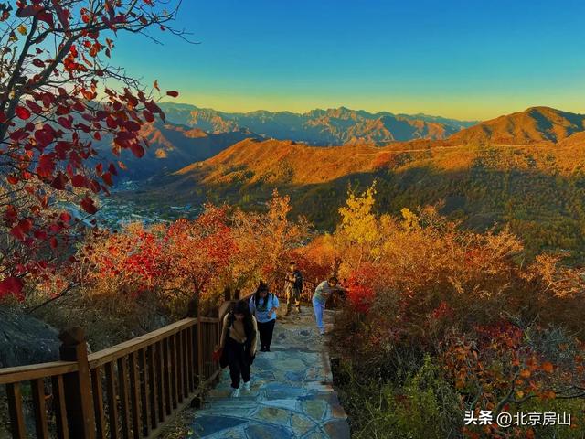 诚邀您共赴一场焕活身心的“森”呼吸之旅!