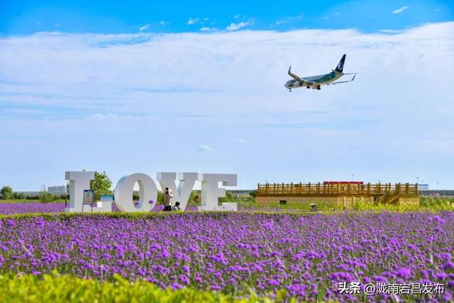 【寻迹甘肃 向往之旅】希望新城 向新而生