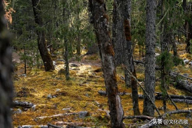 来西藏，一定要选冬天！人间仙境，东方瑞士，我不允许你错过！