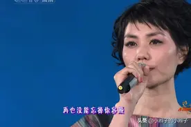 王菲+常石磊=必出神作？《世界赠予我的》水准被吐槽？编曲拉胯？图片