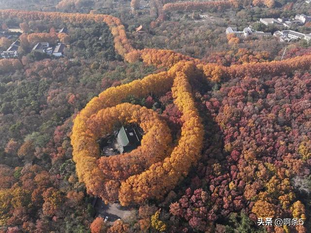 江苏南京，钟山风景区，大家展开想象，这个像什么？