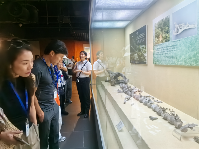 香港旅游业界100多名代表赴顺德进行参访交流