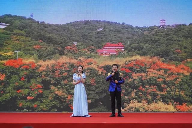 2025观音阁文化周隆重开幕！本次文化周为期7天