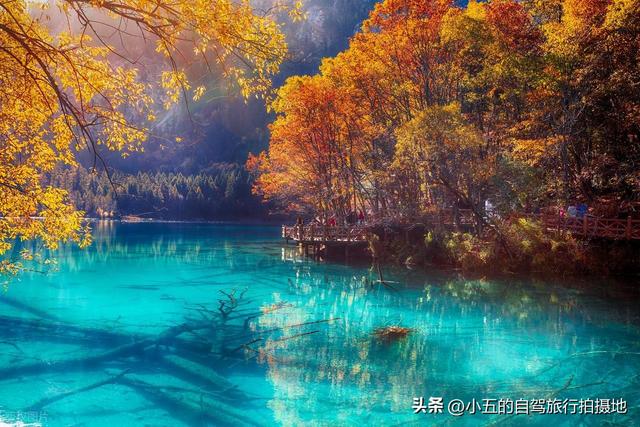 11月旅游的目的地推荐|每一个都是出片圣地的存在