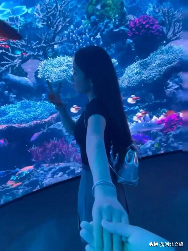 漫游唐山 | 曹妃甸城市馆打卡攻略